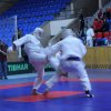 Кубок Ставропольского Края 2016-11-13