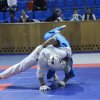 Кубок Ставропольского Края 2016-11-13