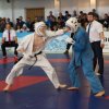 X Кубок России по Кудо 2017