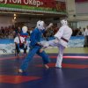 X Кубок России по Кудо 2017