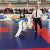 X Кубок России по Кудо 2017